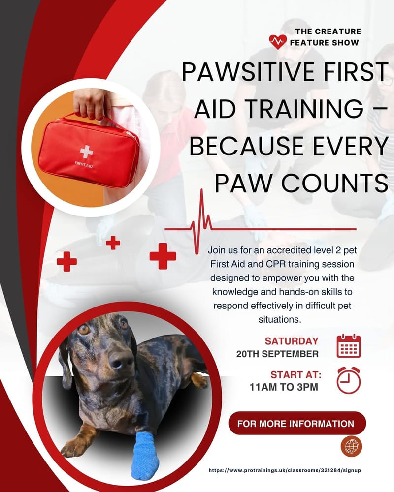 Pawsitive Level 2 Pet First Aid Training Course on the 20th of September from 11am to 3pm.