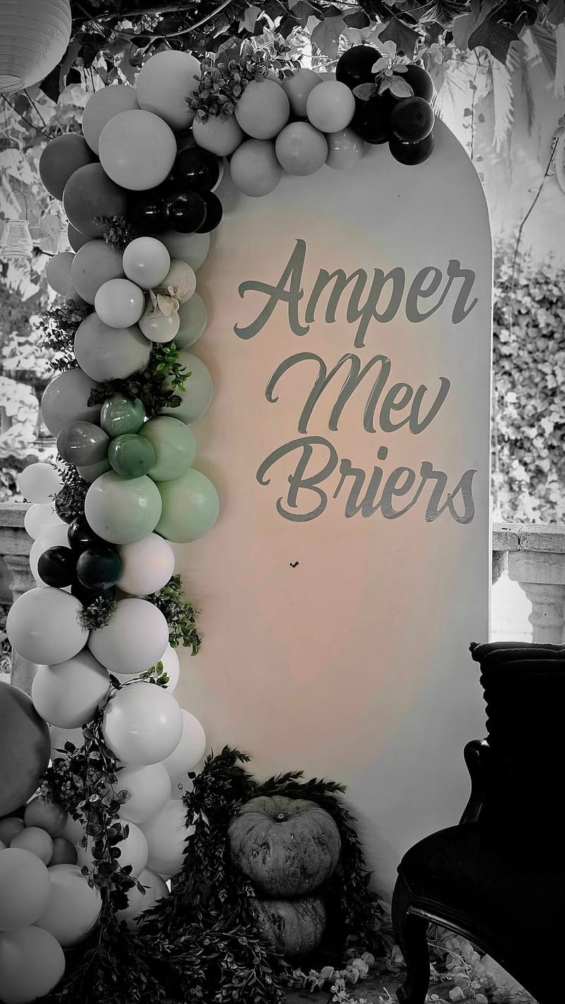 BALLON ARCHES & WOODEN ARCHES
