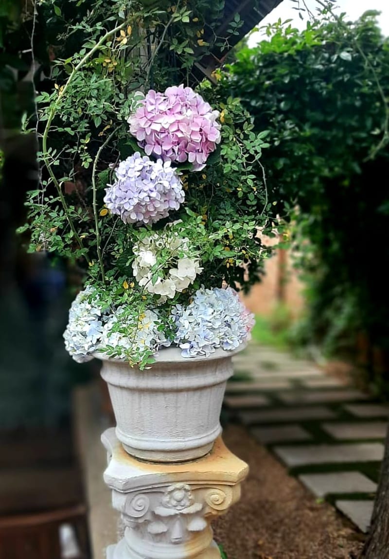 INTIMATE WEDDINGS