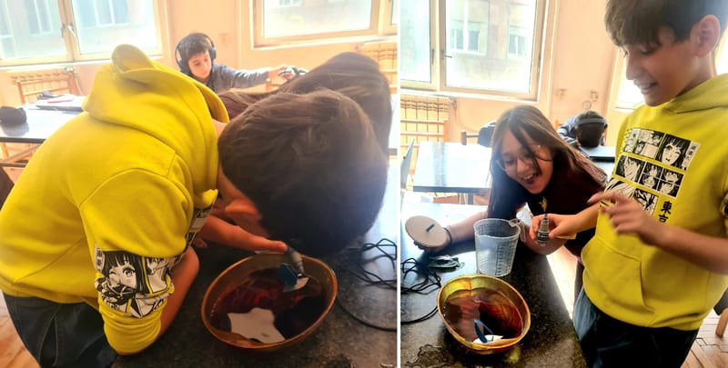 ԲՏՃՄ բաց հավաք ՄՍԿՀ-ում