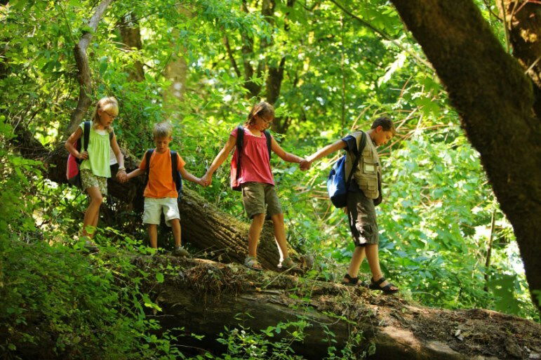 «Ամառային ճամբար-2025»