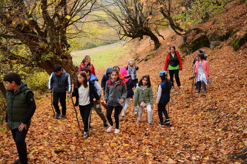 Աշնանային բաց հավաք