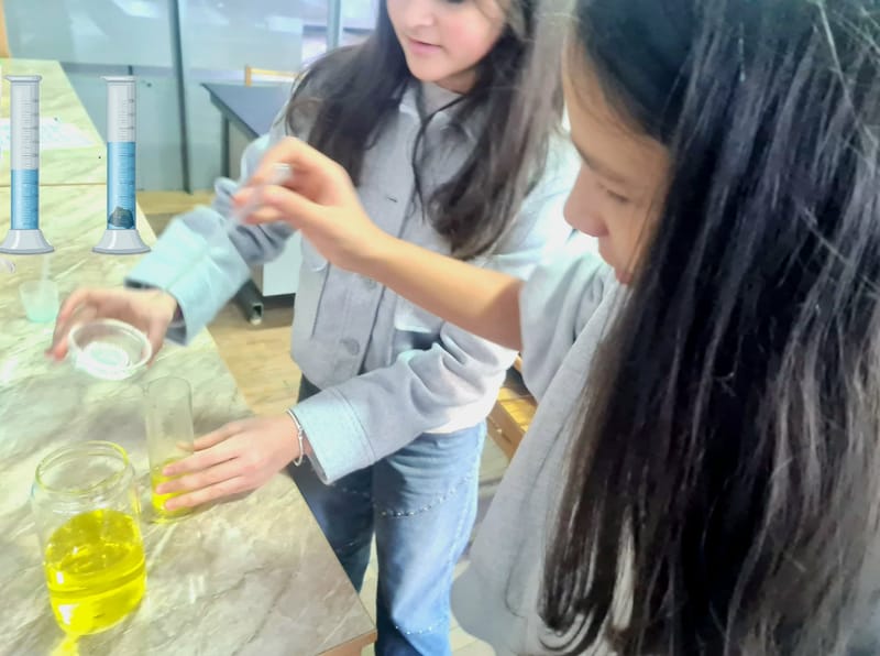 Բնագիտատեխնիկական ստուգատես 2026 /ամփոփում/