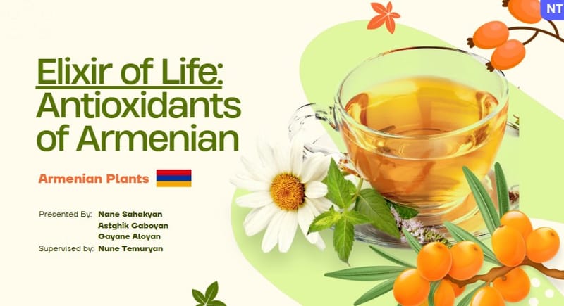 «Կյանքի էլիքսիր» հայ-վրացական համատեղ նախագիծ