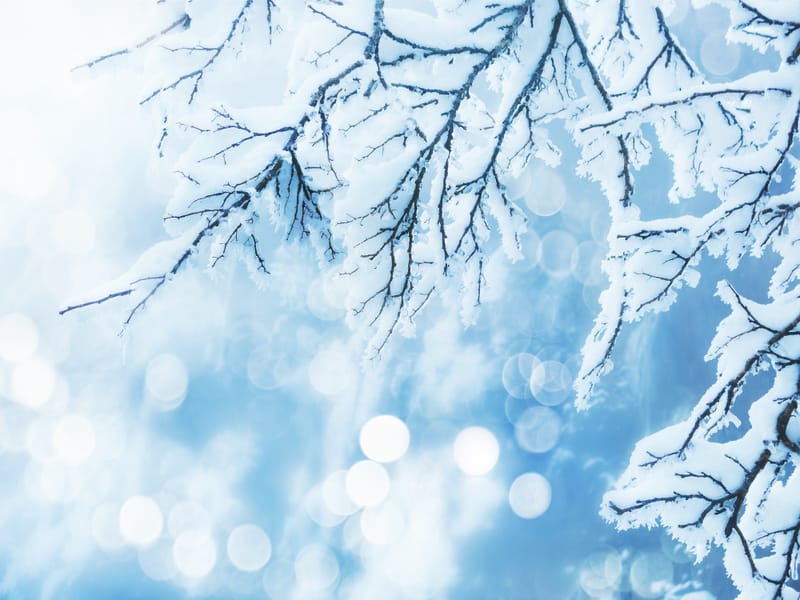 Անհատական աշխատաժամանակ /Հունվար/