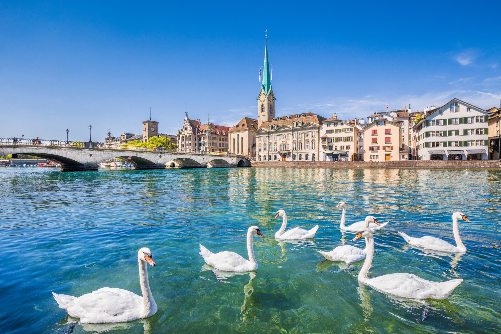 Discover Zurich in Style with Your Escort