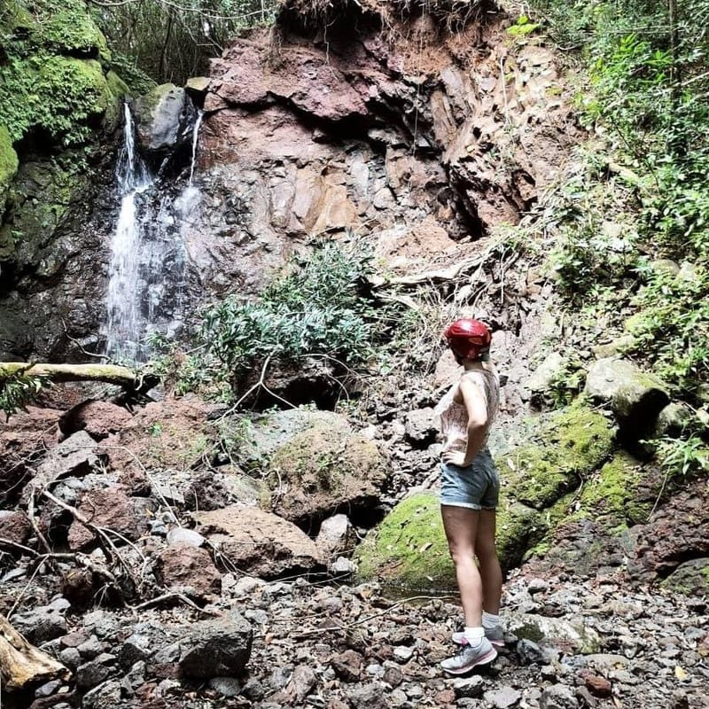 Mauritius, seychelles, Réunion and more...