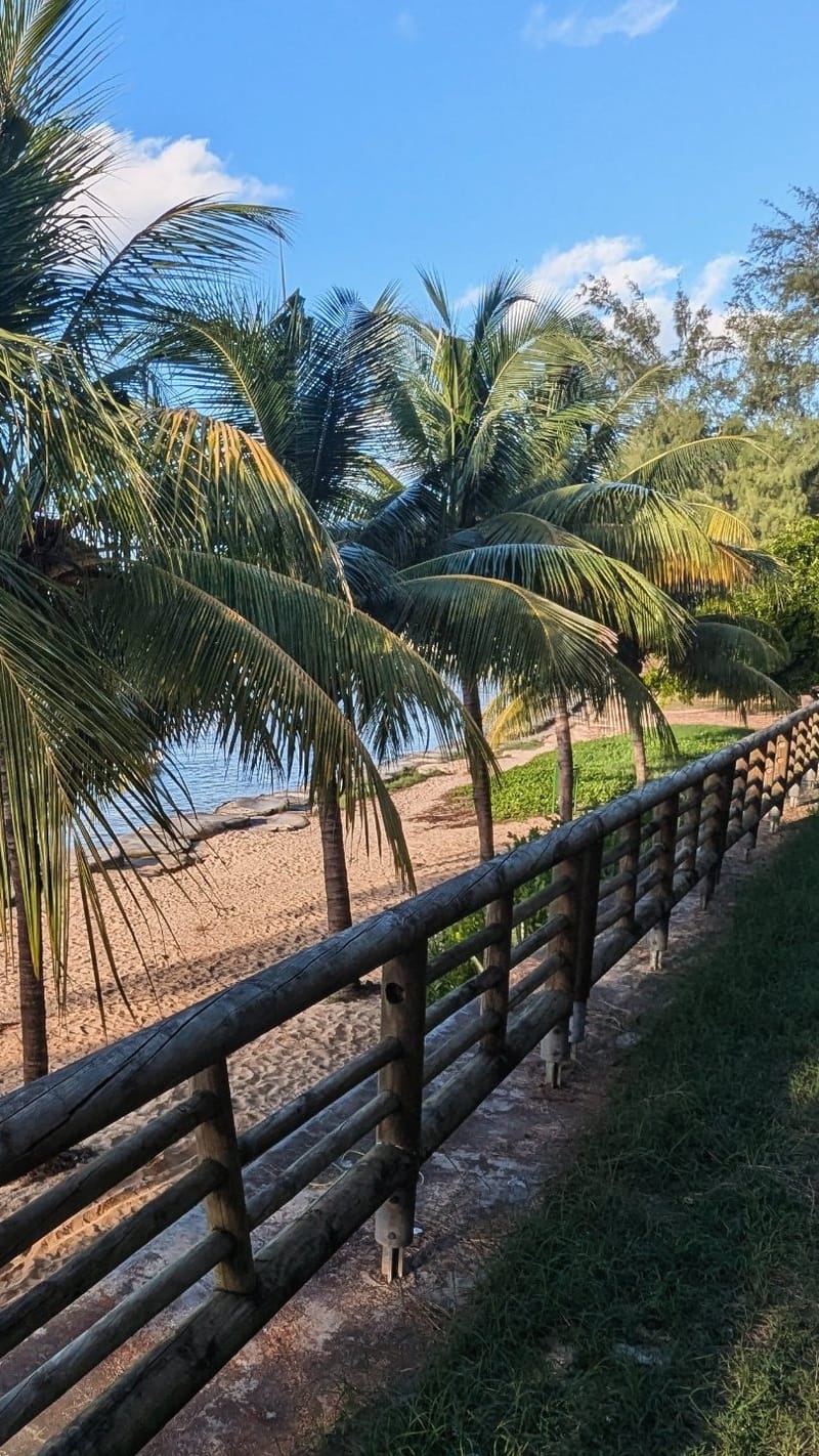 Mauritius, seychelles, Réunion and more...