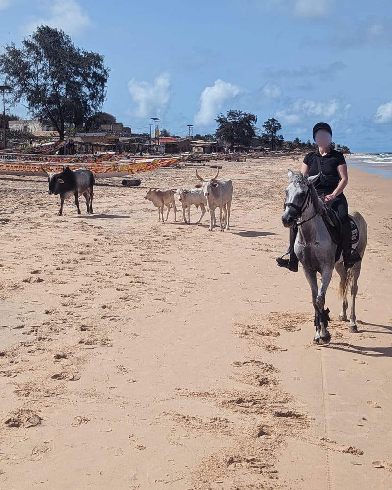 Dakar, Abidjan, Accra and more ...