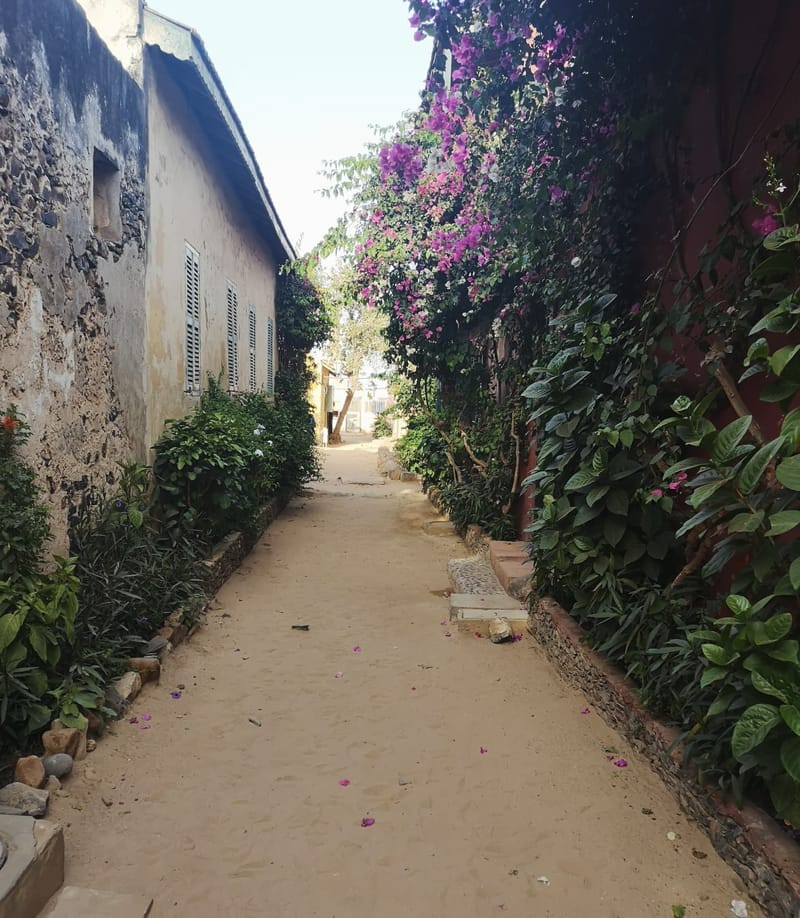 Dakar, Abidjan, Accra and more ...