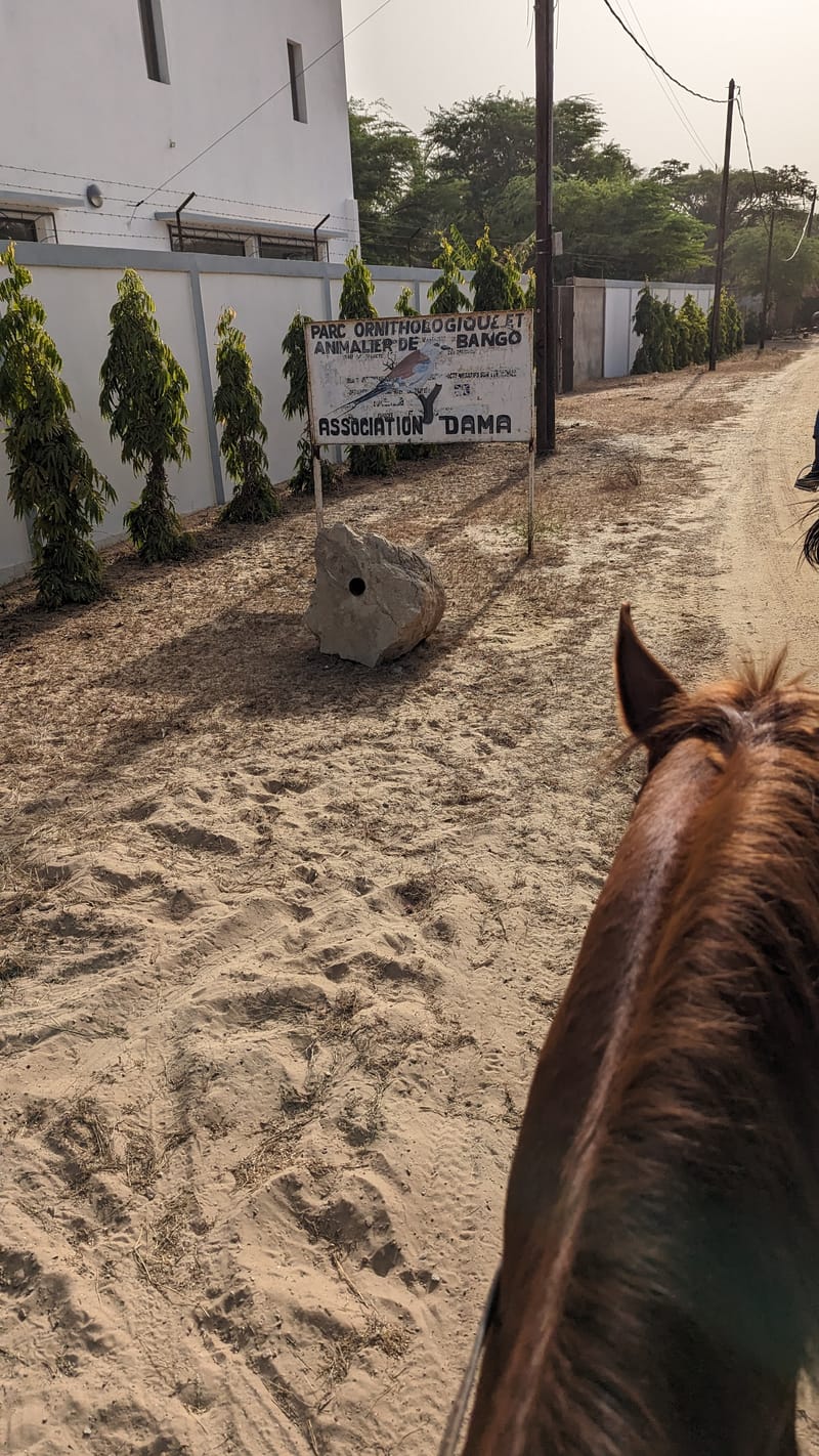 Dakar, Abidjan, Accra and more ...