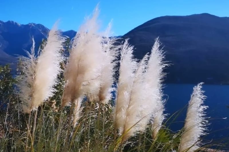 Paris, London, Milan and more...