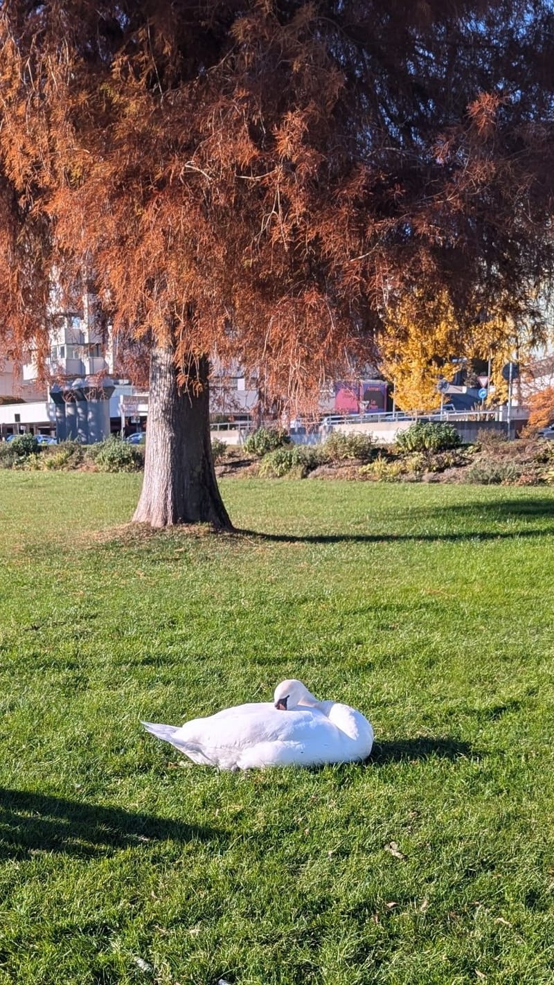 Paris, London, Milan and more...