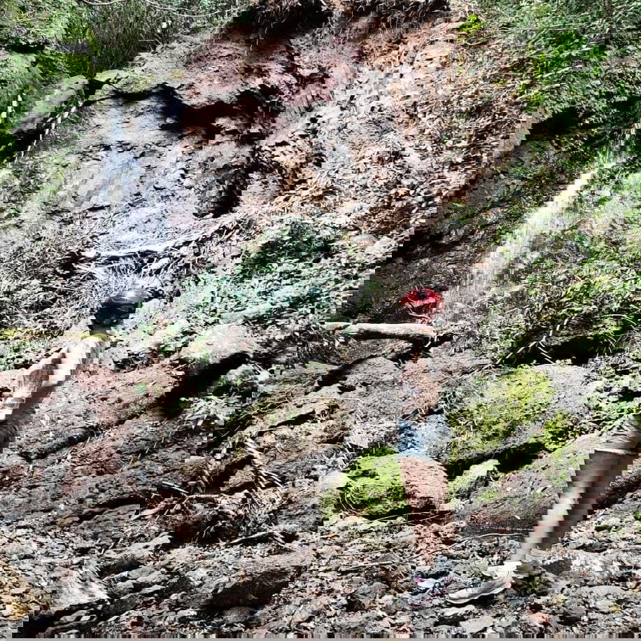 Mauritius, seychelles, Réunion and more...