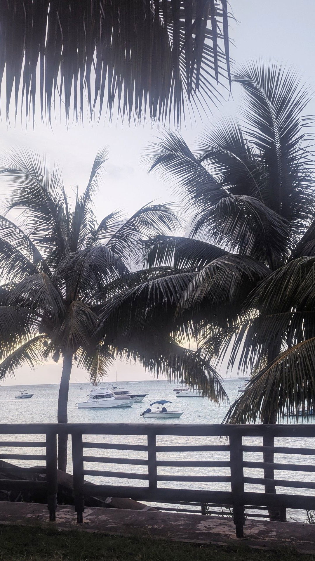 Mauritius, seychelles, Réunion and more...