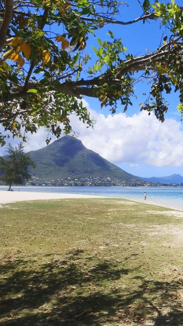 Mauritius, seychelles, Réunion and more...