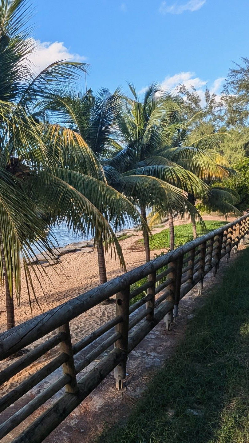 Mauritius, seychelles, Réunion and more...