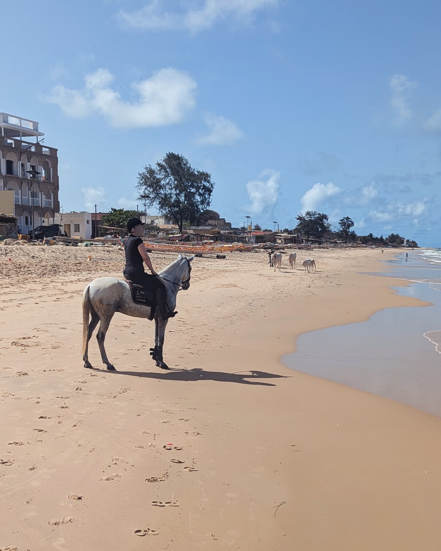 Dakar, Abidjan, Accra and more ...