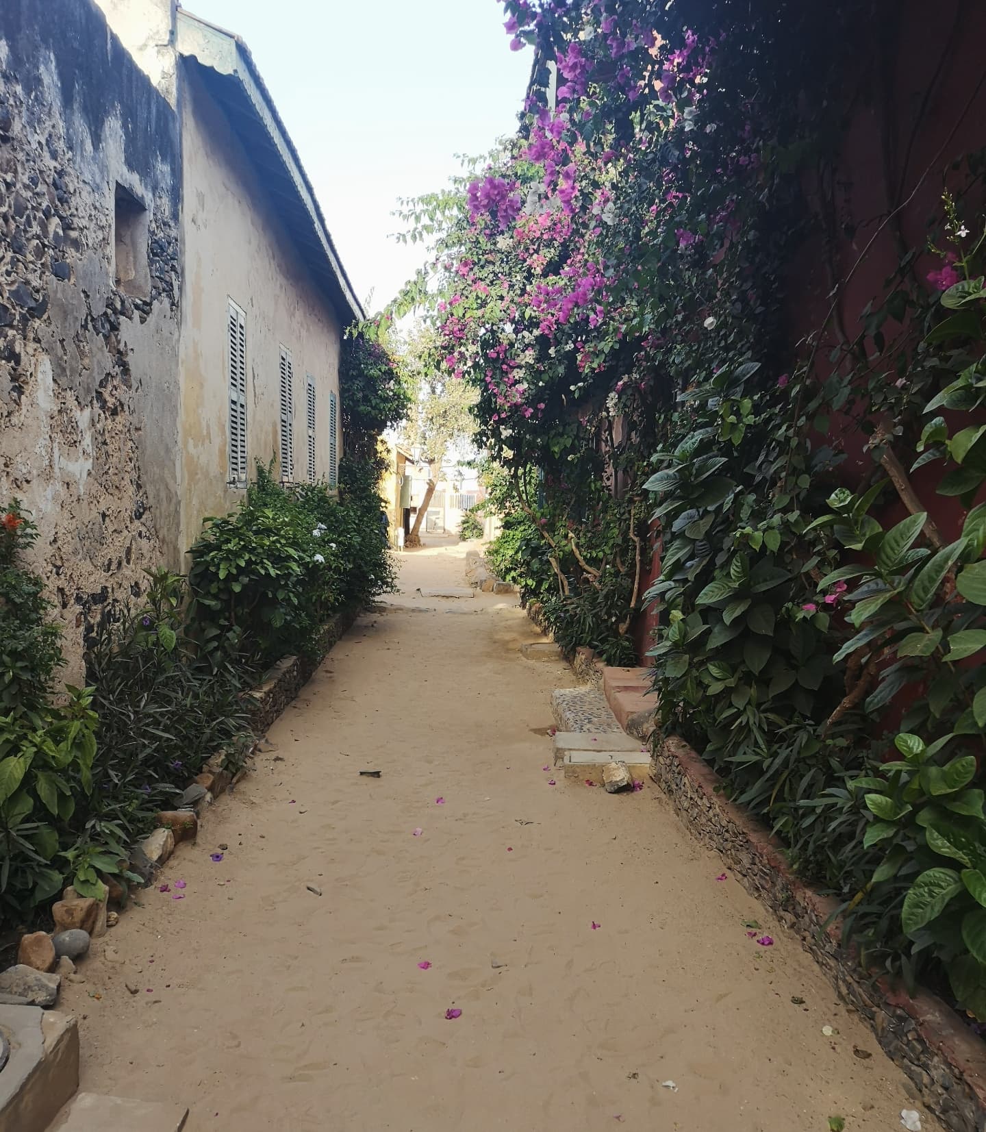 Dakar, Abidjan, Accra and more ...