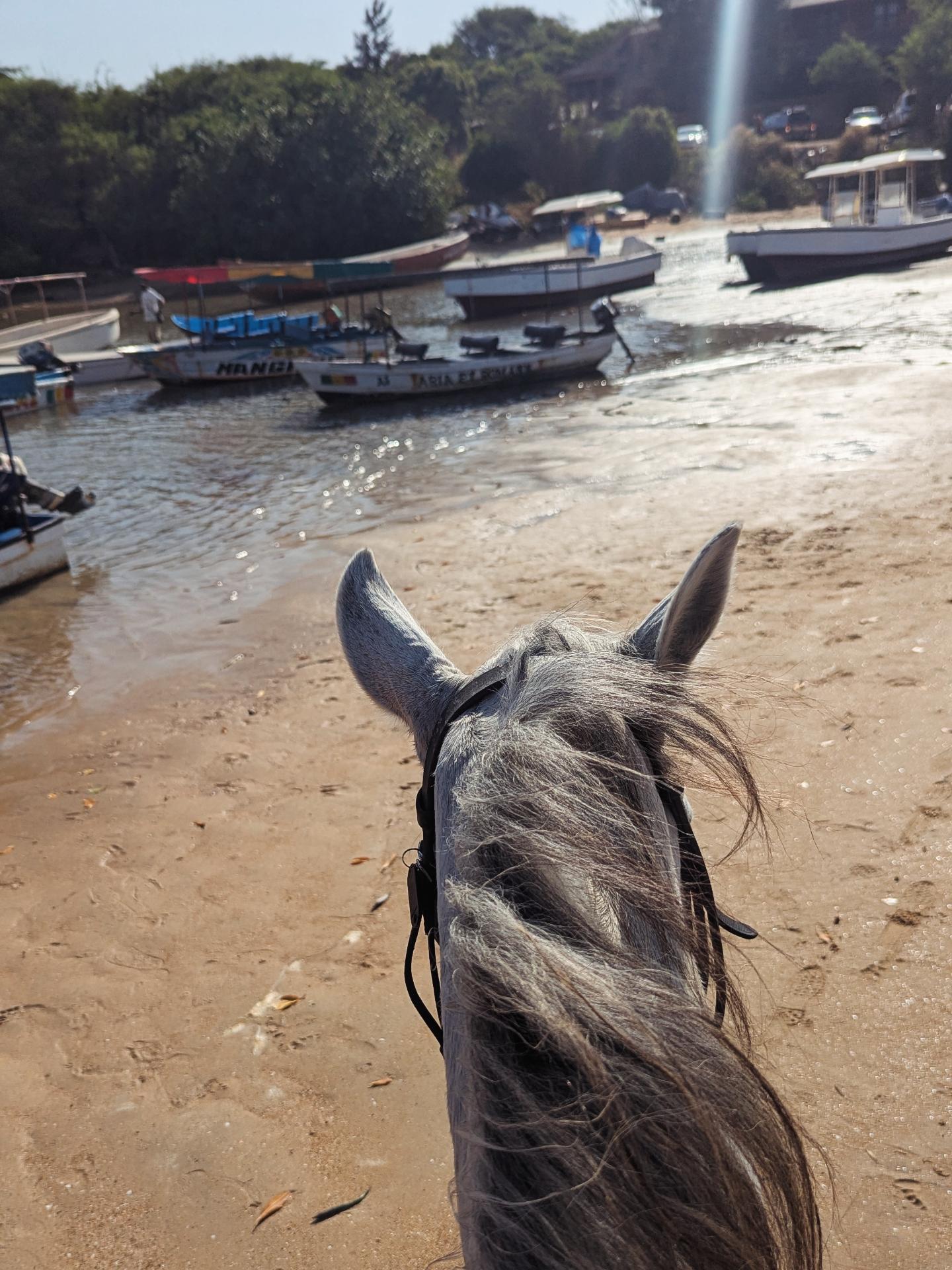 Dakar, Abidjan, Accra and more ...