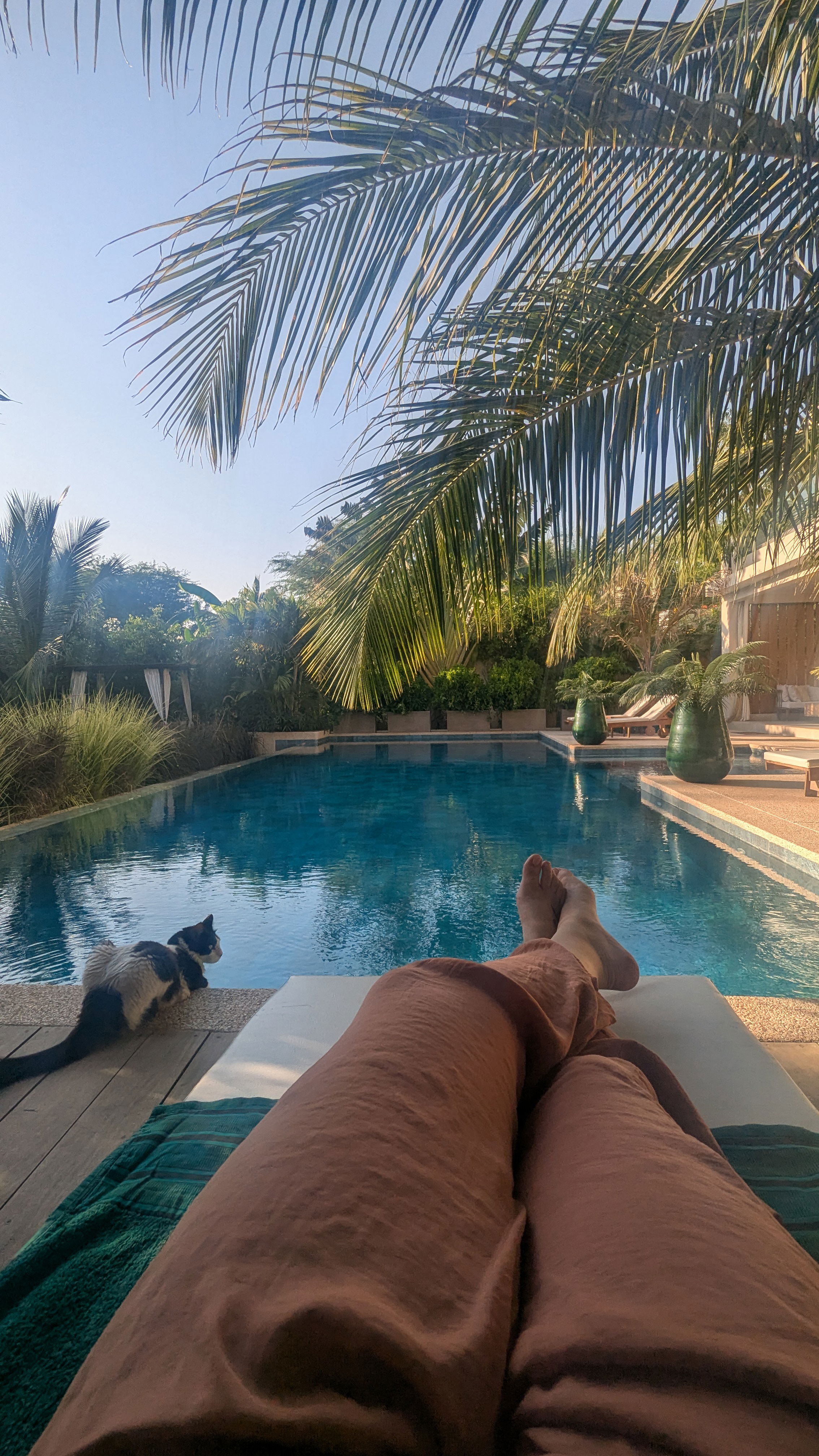 Dakar, Abidjan, Accra and more ...