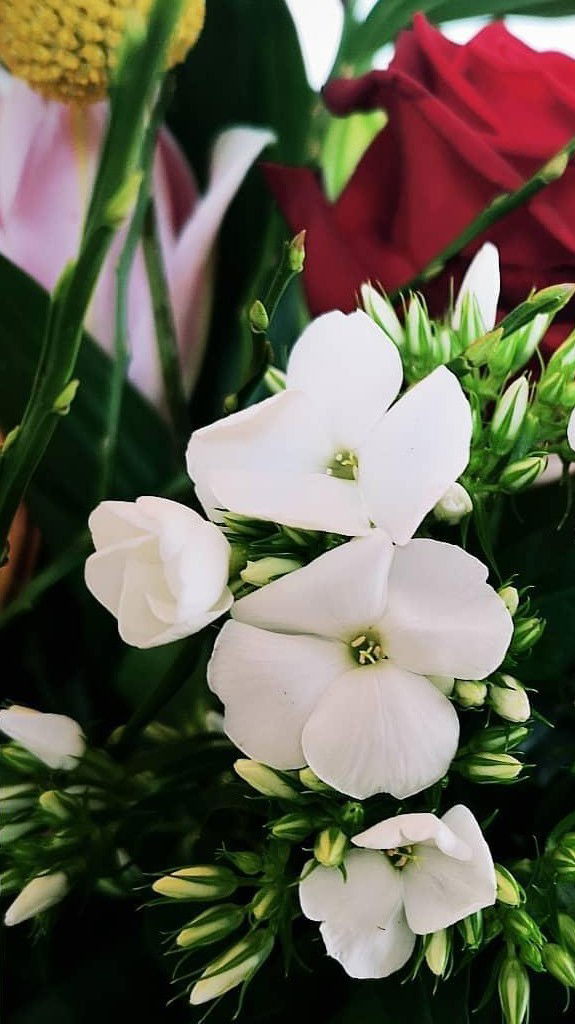 Paris, London, Milan and more...