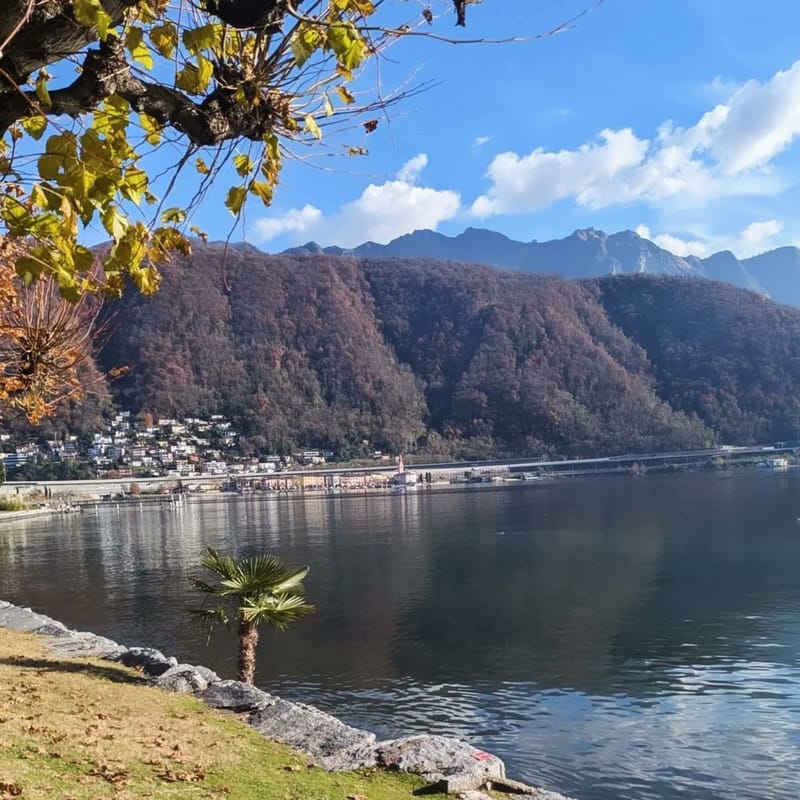 Paris, London, Milan and more...