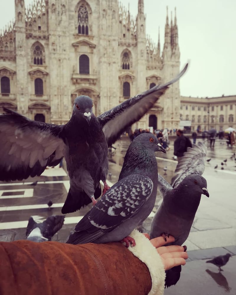 Paris, London, Milan and more...