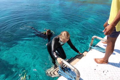 Komodo Dive Sites
