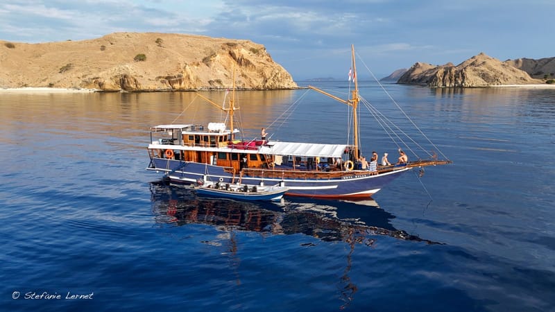 Safari Trip - Liveaboard