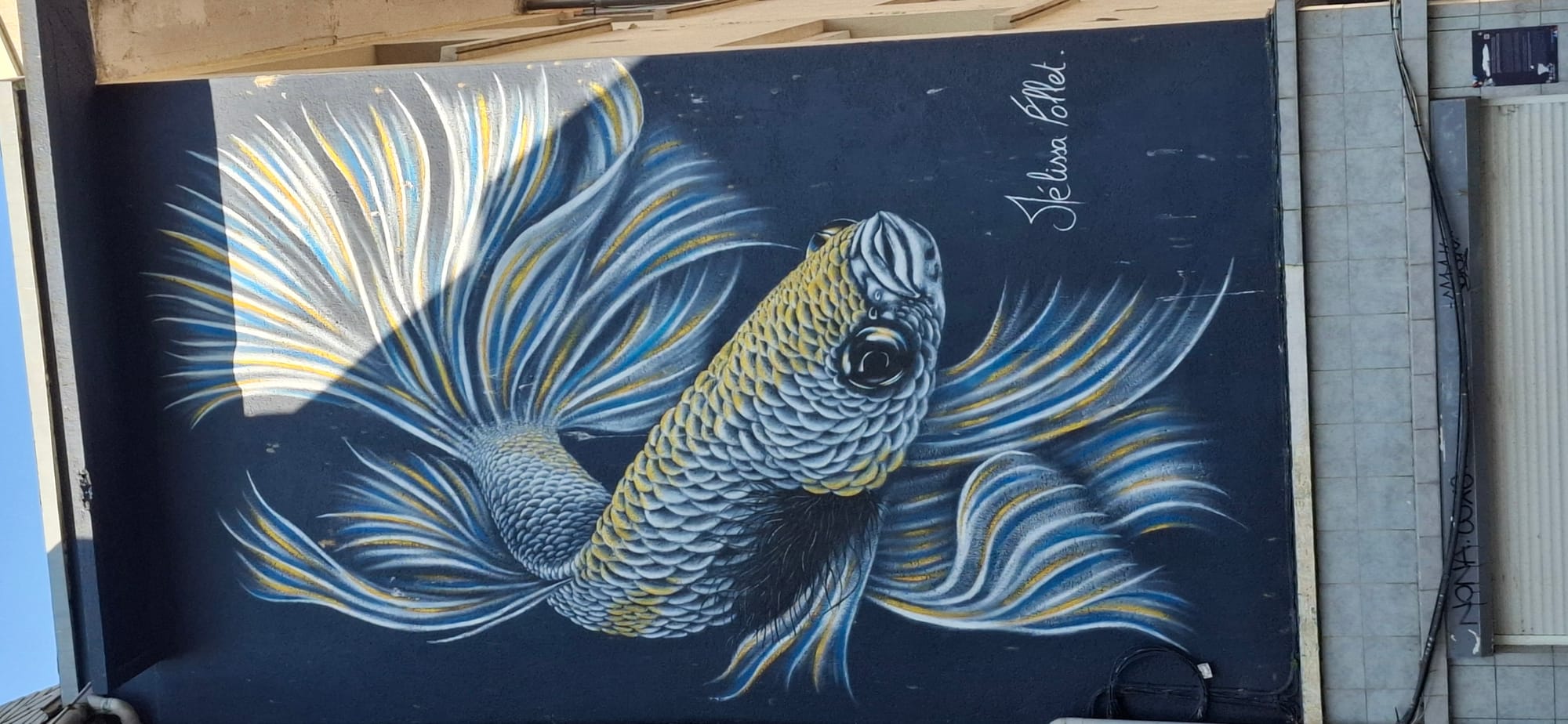 STREET ART et WIMEREUSIENNES