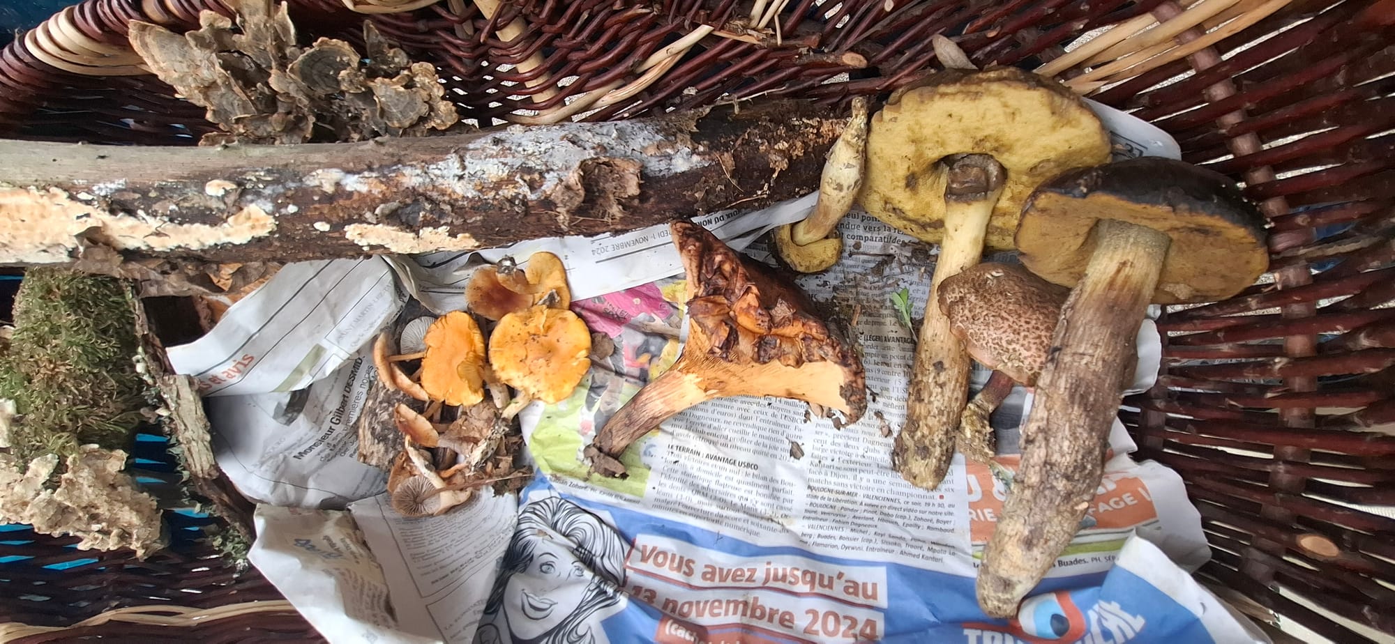 VISITE BRASSERIE GOUDAL ET CUEILLETTE CHAMPIGNONS