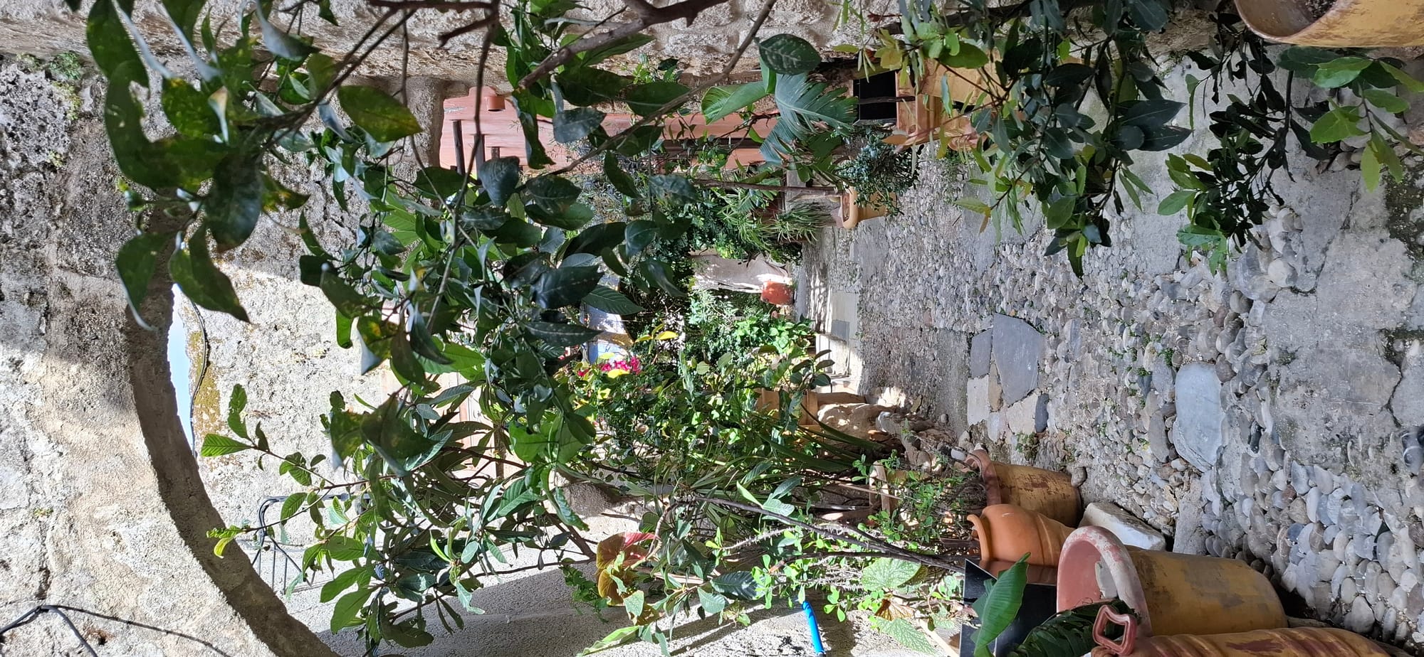 SEJOUR A RHODES DU 03 AU 10 MAI 2026