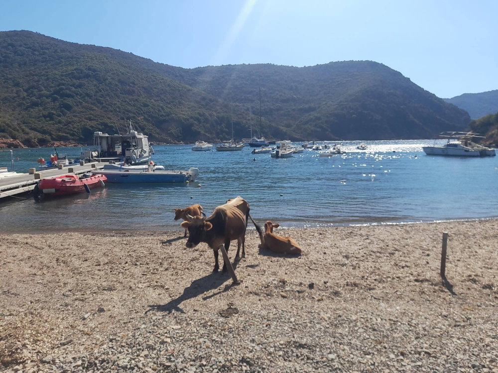 SEJOUR EN CORSE SEPTEMBRE 2026