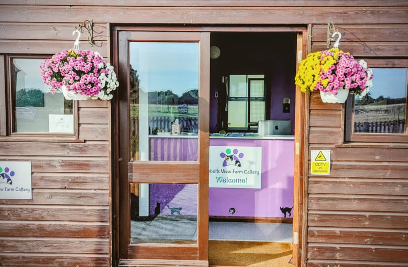 Cattery Video Tour thumbnail