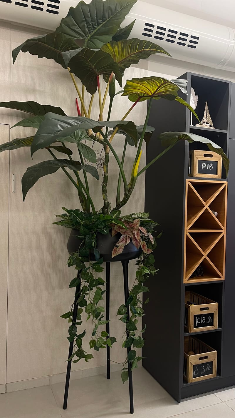 פרוייקט בדרום השרון