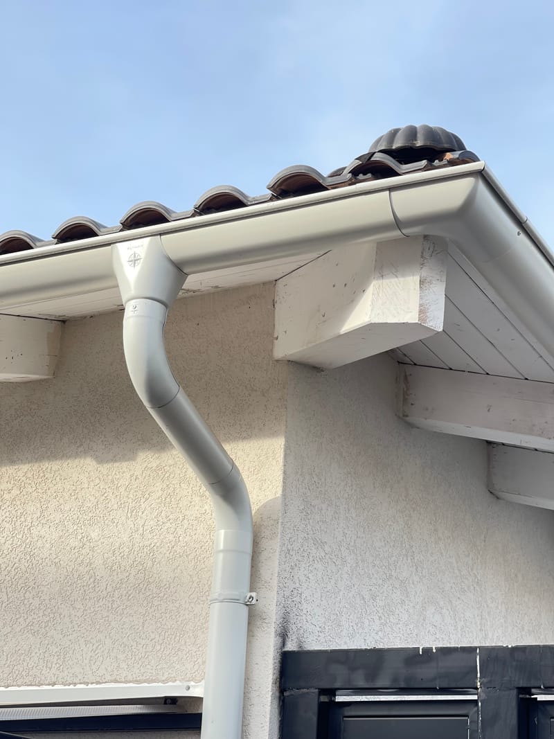 פרוייקט בדרום השרון