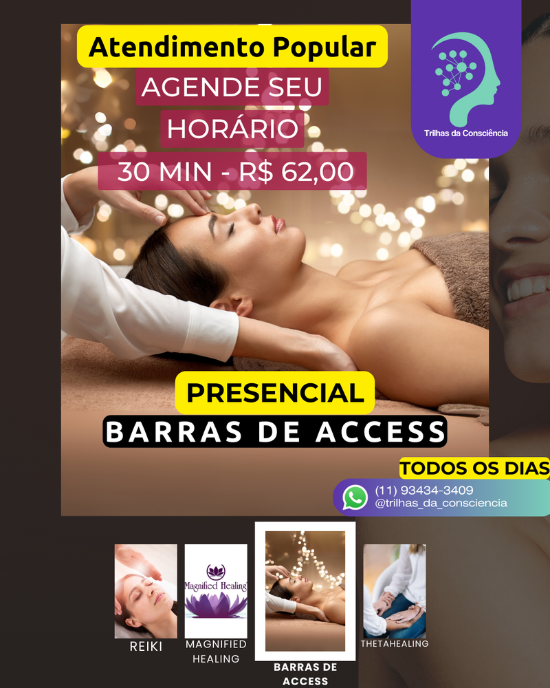 ATENDIMENTO POPULAR DE BARRAS DE ACCESS