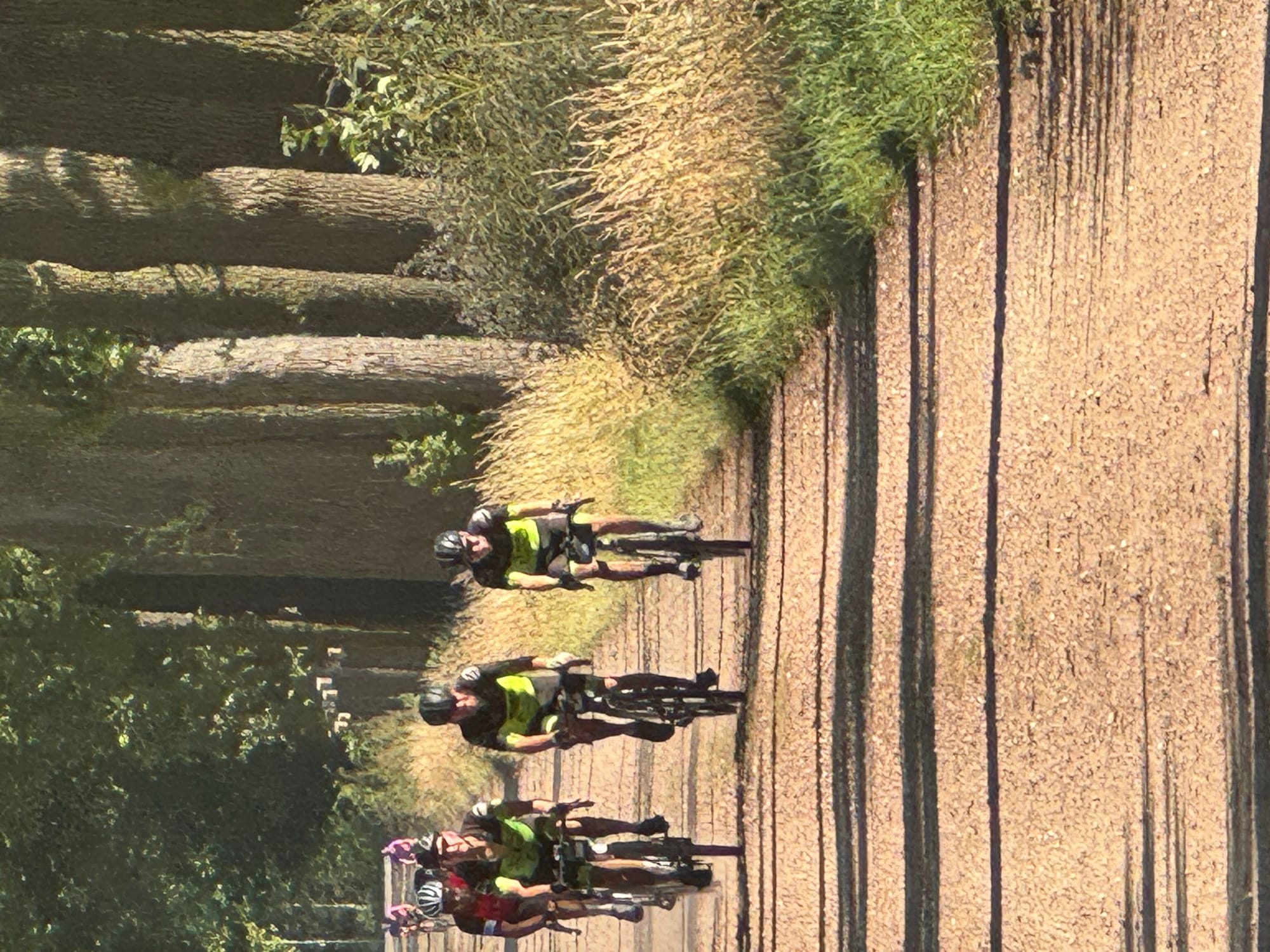 Taxandria ultra 200mijl 🫣