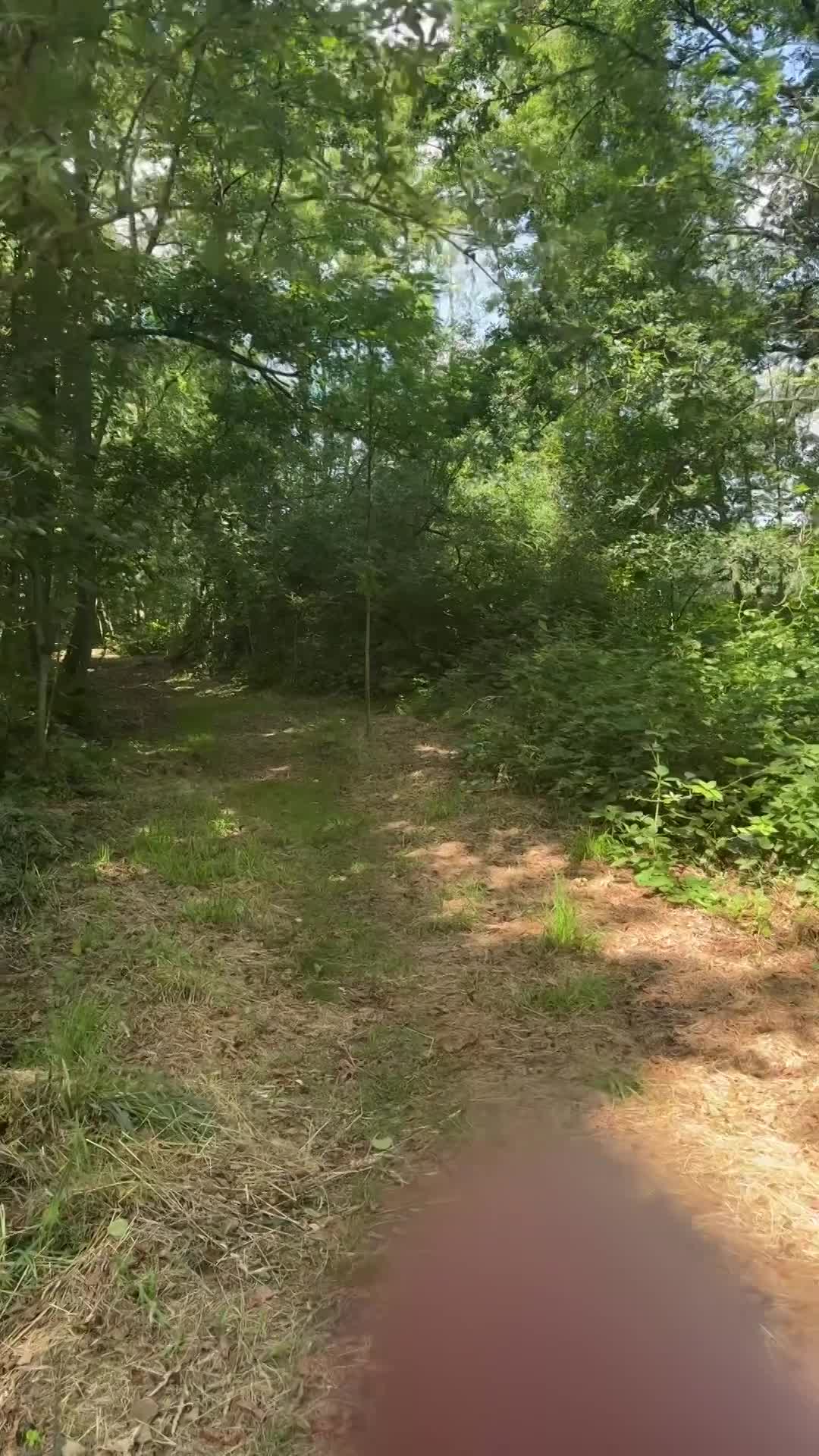 Taxandria ultra 200mijl 🫣