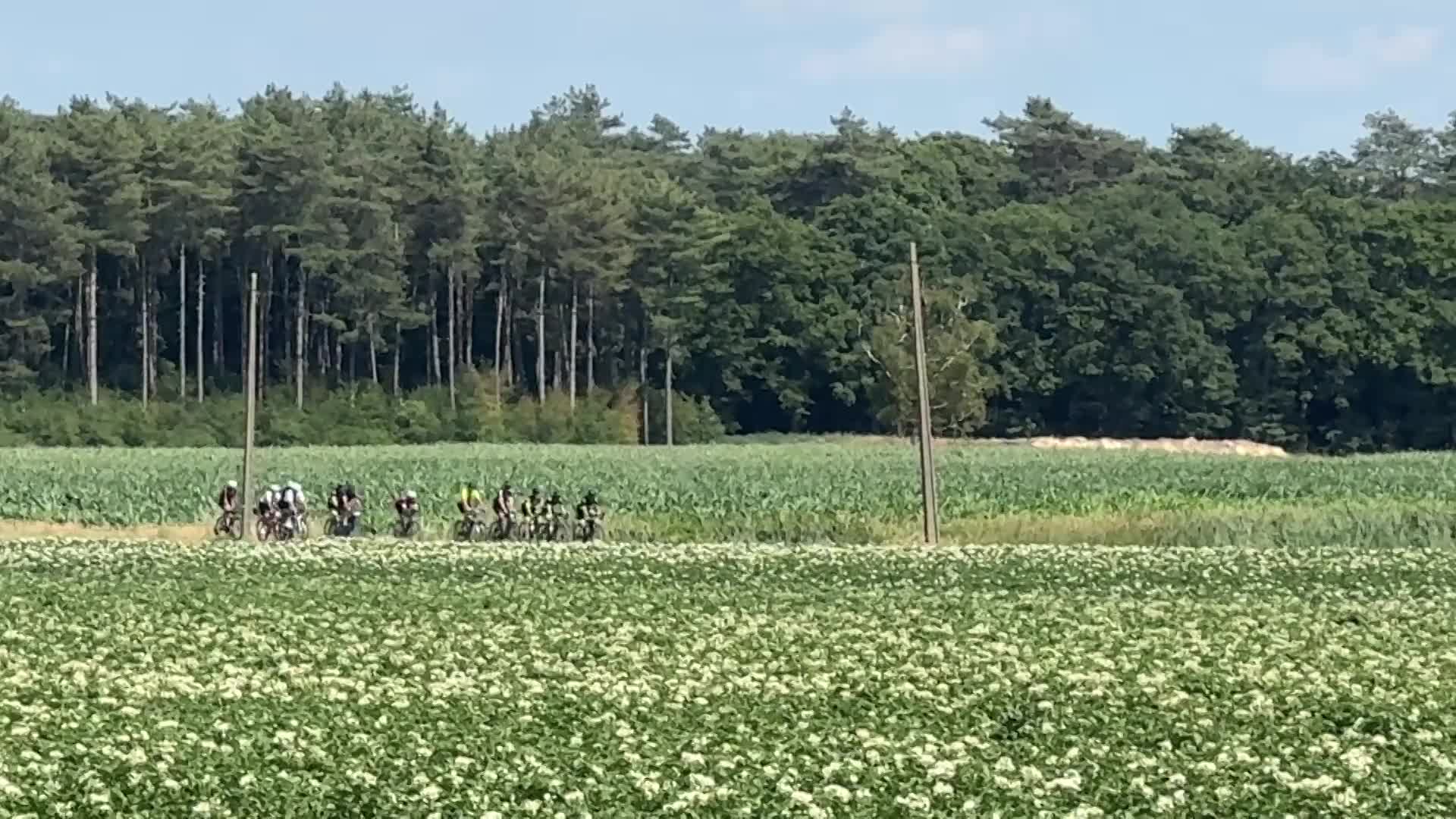 Taxandria ultra 200mijl 🫣