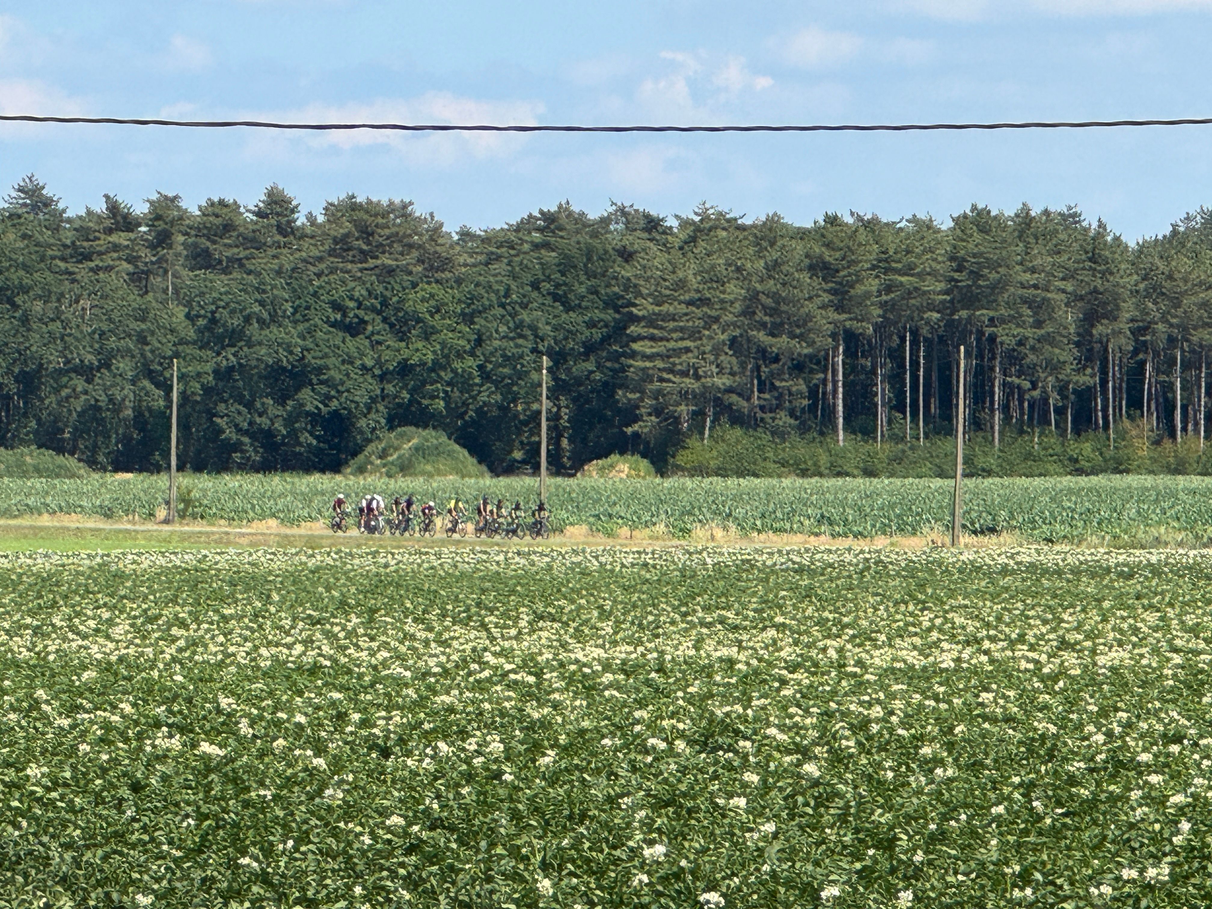 Taxandria ultra 200mijl 🫣