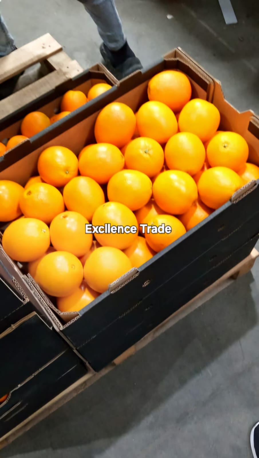 Fresh Valencia