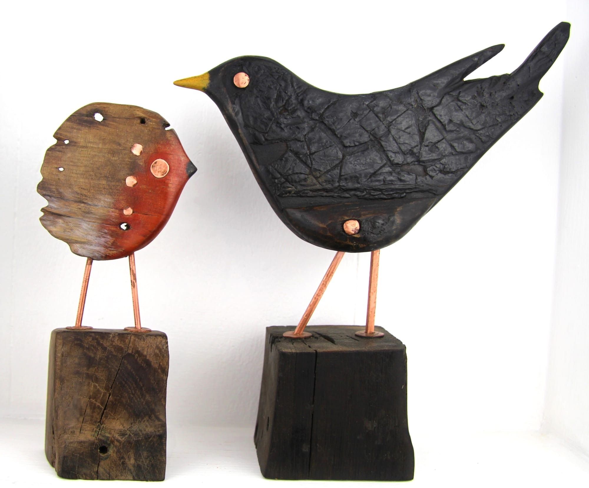 Robin & Cheeky Blackbird