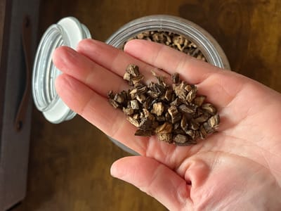 Burdock Root: The Old-Fashioned "Spring Tonic" With Real Research Behind It