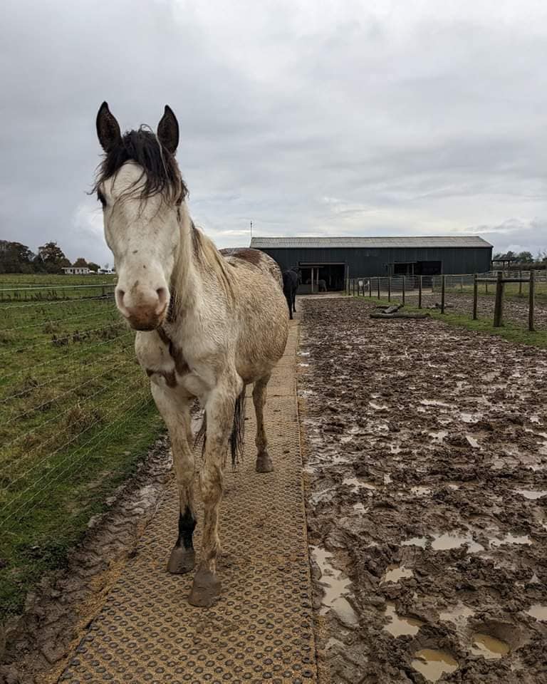 Are you winter ready?❄️💩