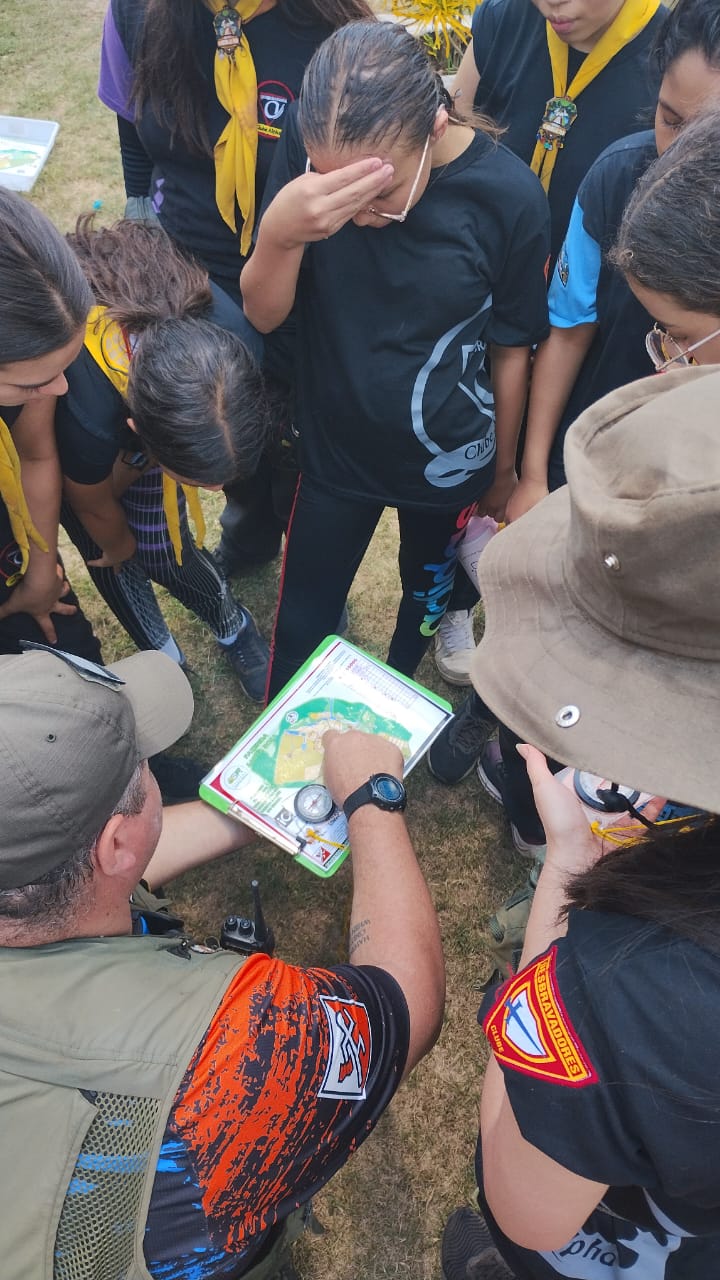 TRABALHOS DE CAMPO - CURSOS - TREINAMENTOS