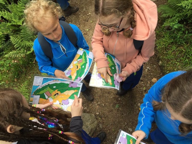 TRABALHOS DE CAMPO - CURSOS - TREINAMENTOS