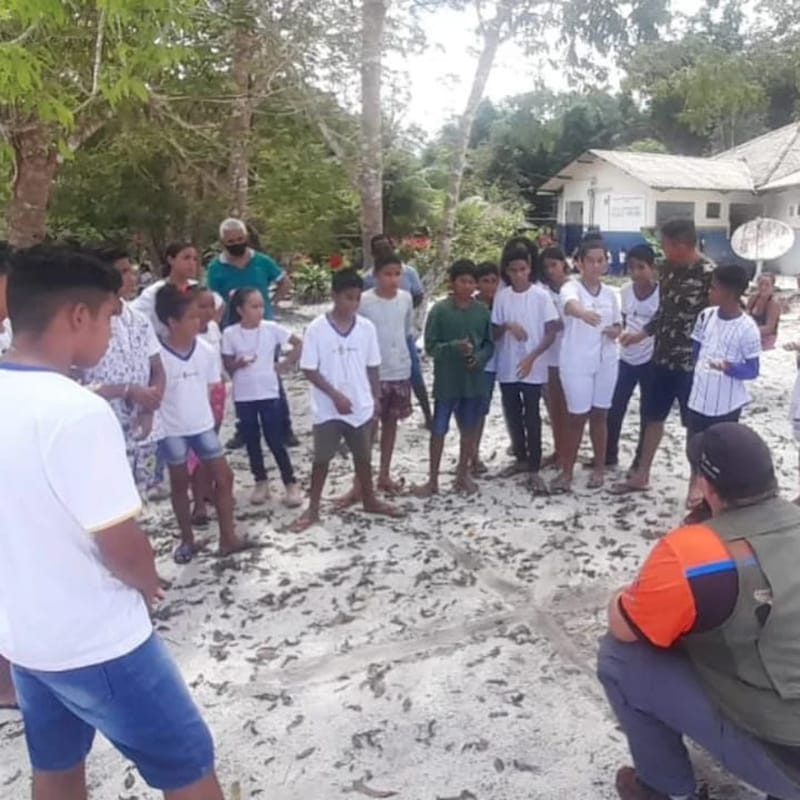 TRABALHOS DE CAMPO - CURSOS - TREINAMENTOS