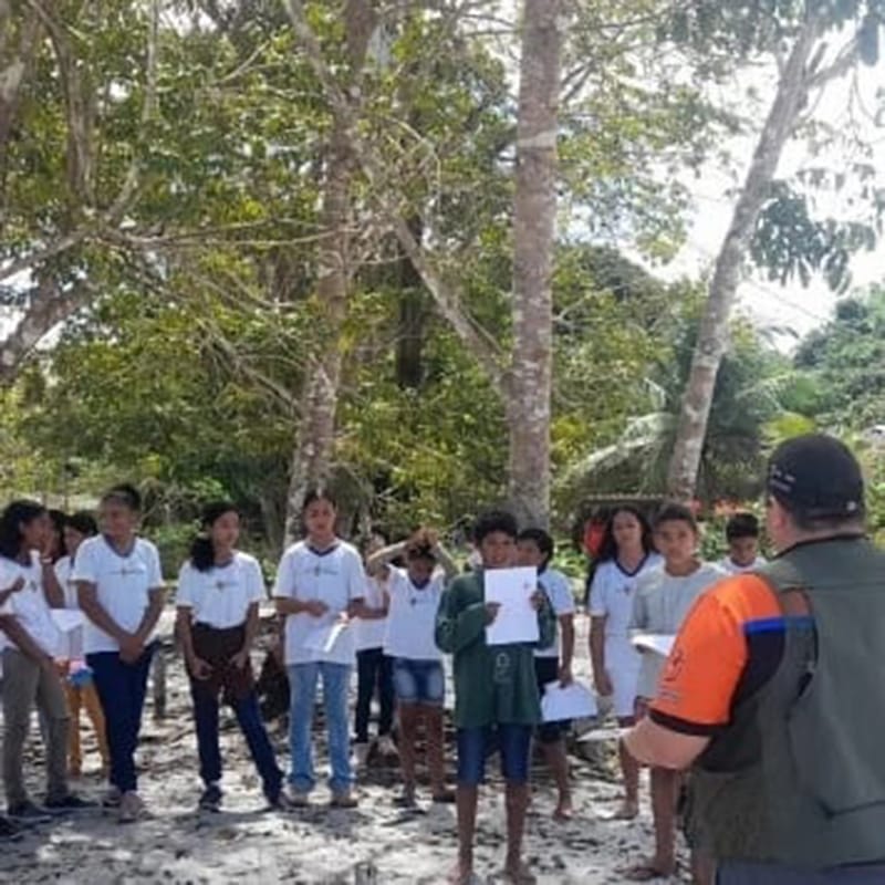 TRABALHOS DE CAMPO - CURSOS - TREINAMENTOS